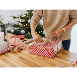 Dilluns 15 Des. - Taller...